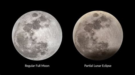 Partial Lunar Eclipse 2023 | October 2023 Lunar Eclipse Tonight — Visibility Map & Time | Star Walk