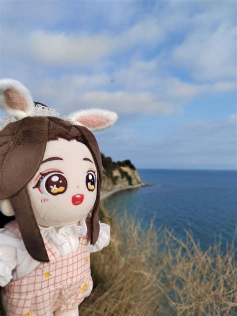 Xie Lian minidoll plush - heaven official’s blessing - tgcf ・┆ ʚ♡ɞ ┆・ | Благословение