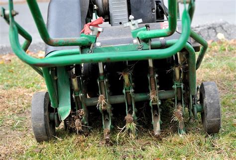 The Importance of Soil Aeration for Your Garden and How-to