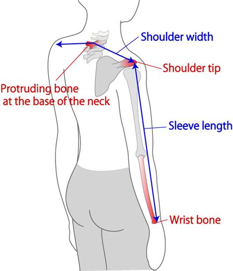 Shoulder Measurement