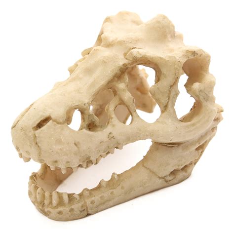 Aquarium Resin Crocodile Skull Fish Tank Ornament Terrarium Reptile ...