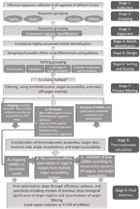 Complete flow chart of our novel methodology. | Download Scientific Diagram