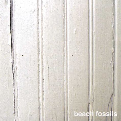 Beach Fossils CD