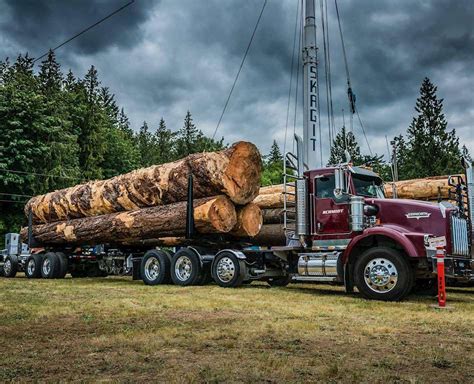 2004 Kenworth T800 Logging Truck For Sale, 759,000 Miles | Lake Stevens, WA | 9021177 ...