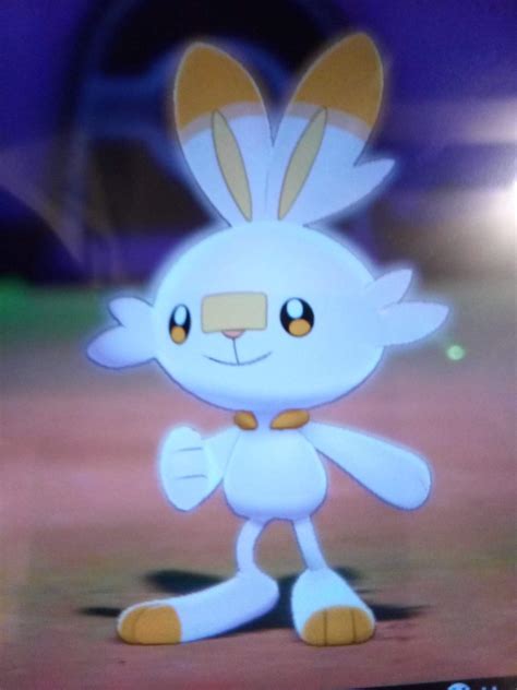 Shiny scorbunny kicks the ball | Shiny Pokemon Amino Amino