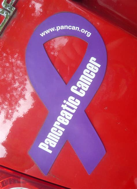 Pancreatic Cancer | Jason Eppink | Flickr