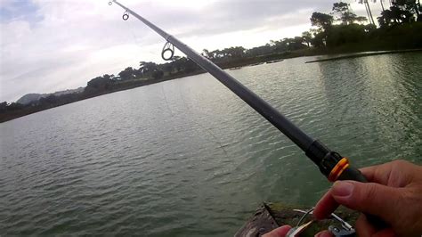 Trout Fishing at Lake Merced on 113018 and 121518 - YouTube