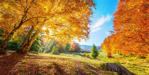 Meadow Autumn Wallpapers - Wallpaper Cave