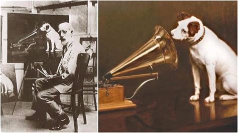 "His master's voice" - The origins of the famous Jack Russell terrier, Nipper, the canine ...