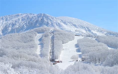 Mt. Zao Skiing | Miyagi Attractions | Travel Japan | JNTO