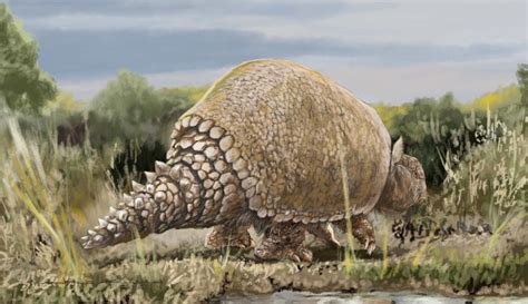 Giant glyptodont armadillos may have been hunted by early South ...