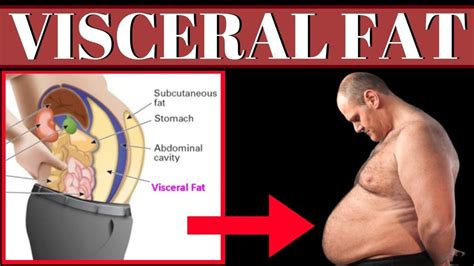 21 Effective Tips to Lose Belly Fat (Based on Science) - TimesNext
