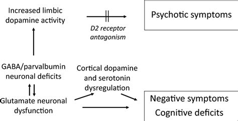 Neurotransmitter processes in schizophrenia | Download Scientific Diagram