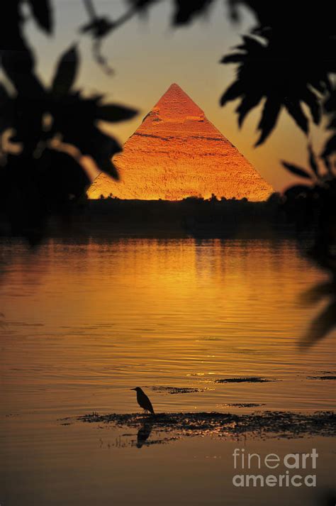 See The Pyramids Along The Nile Photograph by Bryan Pereira