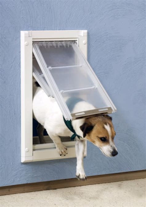 Endura Flap Wall Dog Door | Pet Door Store