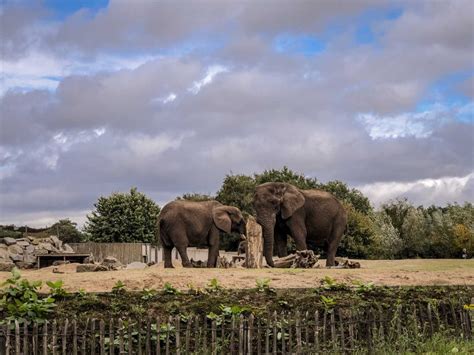 Safaripark Beekse Bergen im niederländischen Tilburg