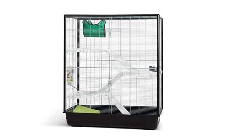 Best Rat Cages That Meet Ethical Cage Size Requirements