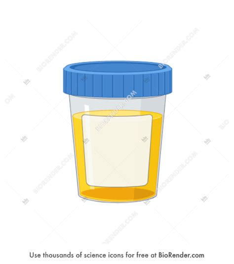 Free Urine sample (with label) Icons, Symbols & Images | BioRender