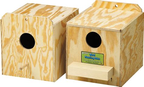 Cockatiel Nest Box | Nesting boxes, Bird, Love birds nest