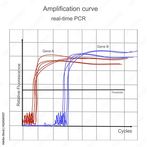 The amplification graph of real-time PCR technique that represent the detection curve of Gene A ...