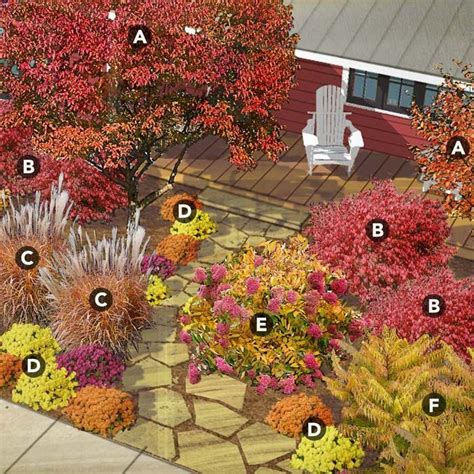 DIY Projects and Ideas | Dwarf burning bush landscaping, Dwarf burning ...