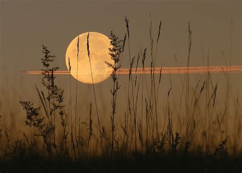 What is the Harvest Moon? | Harvest Moon Facts and Folklore | The Old ...