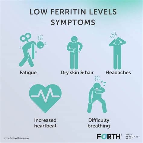 What is the difference between ferritin and iron? - Forth