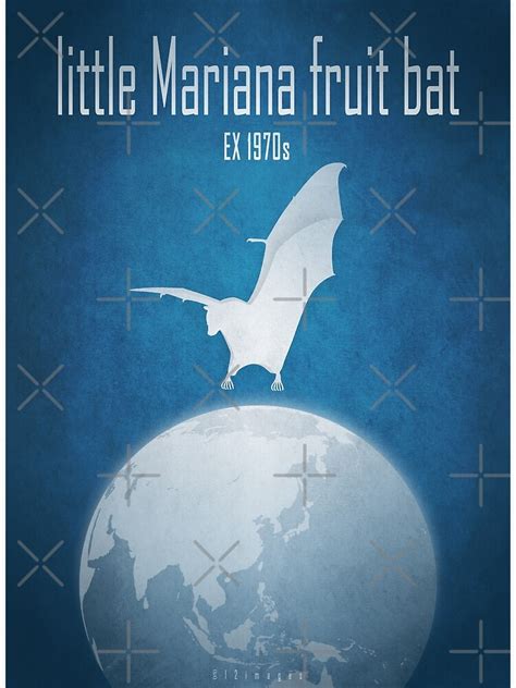 "Little Mariana fruit bat/Guam flying fox - extinct animals" Art Print by 12images | Redbubble