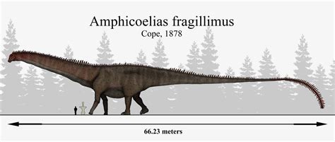 E.D Cope's Lost Giant: Amphicoelias fragillimus by Paleonerd01 | Prehistoric animals ...