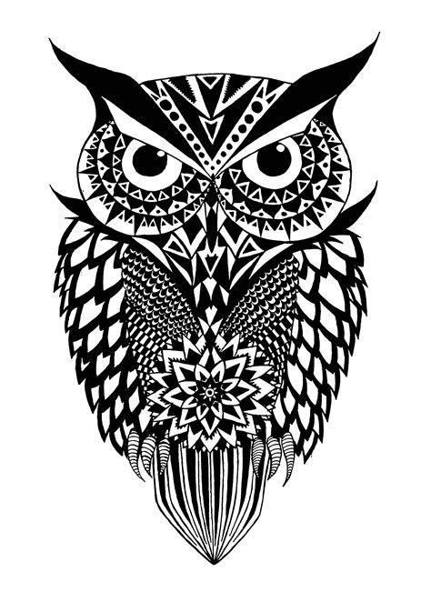 Black and white owl - Owls Adult Coloring Pages