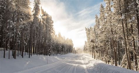 Winter Yellowstone Photo Safari Tips - Gardiner, Montana