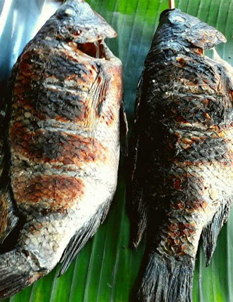 Inihaw Na Tilapia In English - nangsapina