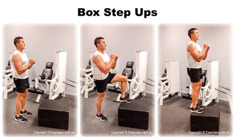 Box-step-ups-1.png | exercises.com.au