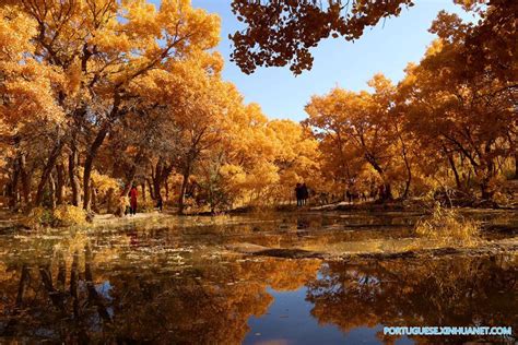 Paisagens deslumbrantes de outono em toda a China_portuguese.xinhuanet.com