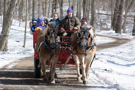 Maple syrup fest right around the corner | The Oshawa Express