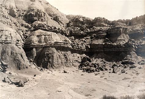 1903 Eocene of Wyoming