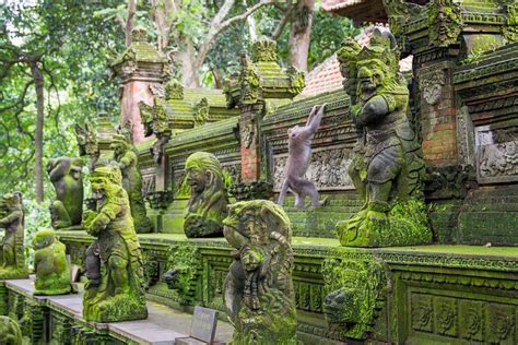 Ubud Monkey Forest: The Sacred Monkey Forest Sanctuary in Bali