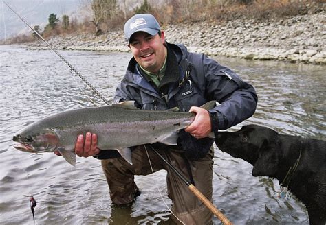 Thompson River Steelhead Meets Rogue's Approval | Pacific Fly Fishers