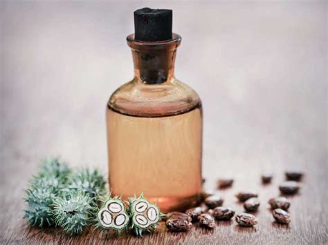 7 Benefits and Uses of Castor Oil