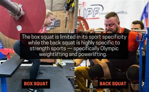 Box Squat vs Back Squat: Differences, Pros, Cons ...