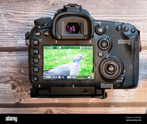 Dslr and camera and rear view hi-res stock photography and images - Alamy