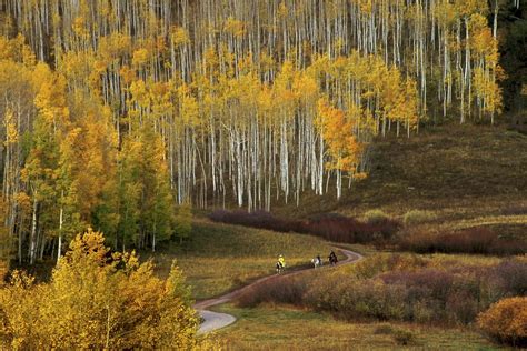 Top 10 Scenic Mountain Passes in Colorado | Best Alpine Roads in CO