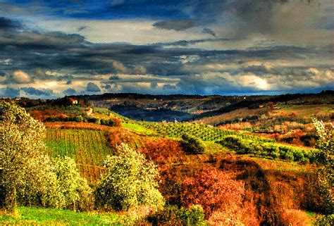 Tuscan Landscape Oil Paintings For Sale - Tuscany Landscape Fields by ...