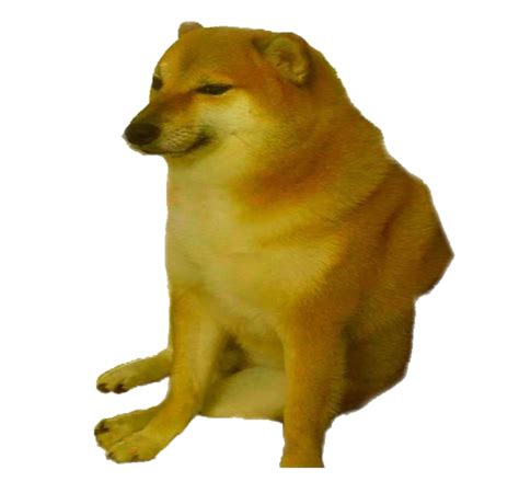 Sad doge Blank Template - Imgflip