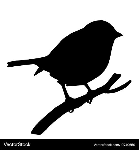 High quality silhouette bird on ash branch Vector Image