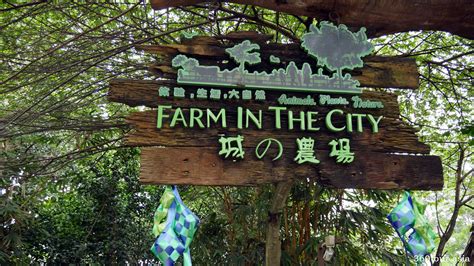 Farm In The City at Selangor – Most Number of Animal Species in a Petting Zoo | | 360Tour.Asia