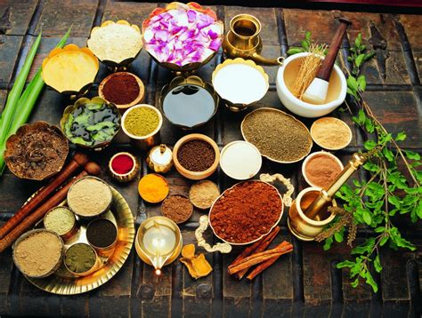 Importance Of Ayurveda For Global Health | Significance Of Ayurveda