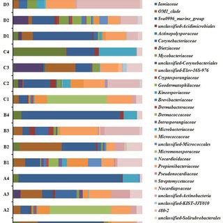 Actinobacteria composition profiles. Taxonomic classification of ...