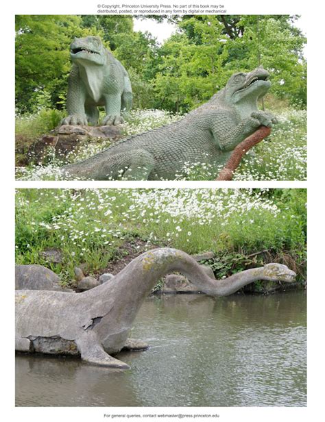 Dinosaur Behavior | Princeton University Press