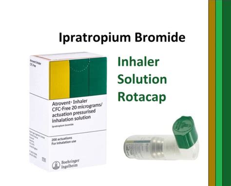 Ipratropium Bromide: Uses, Side Effects, and More - Phonemantra